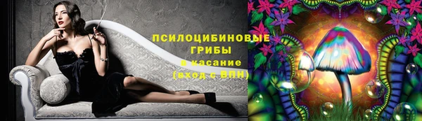 PSILOCYBIN Наволоки