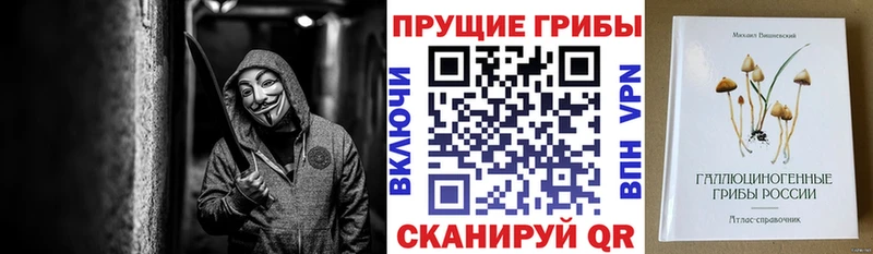 что такое   Эртиль  OMG как зайти  Псилоцибиновые грибы мухоморы 